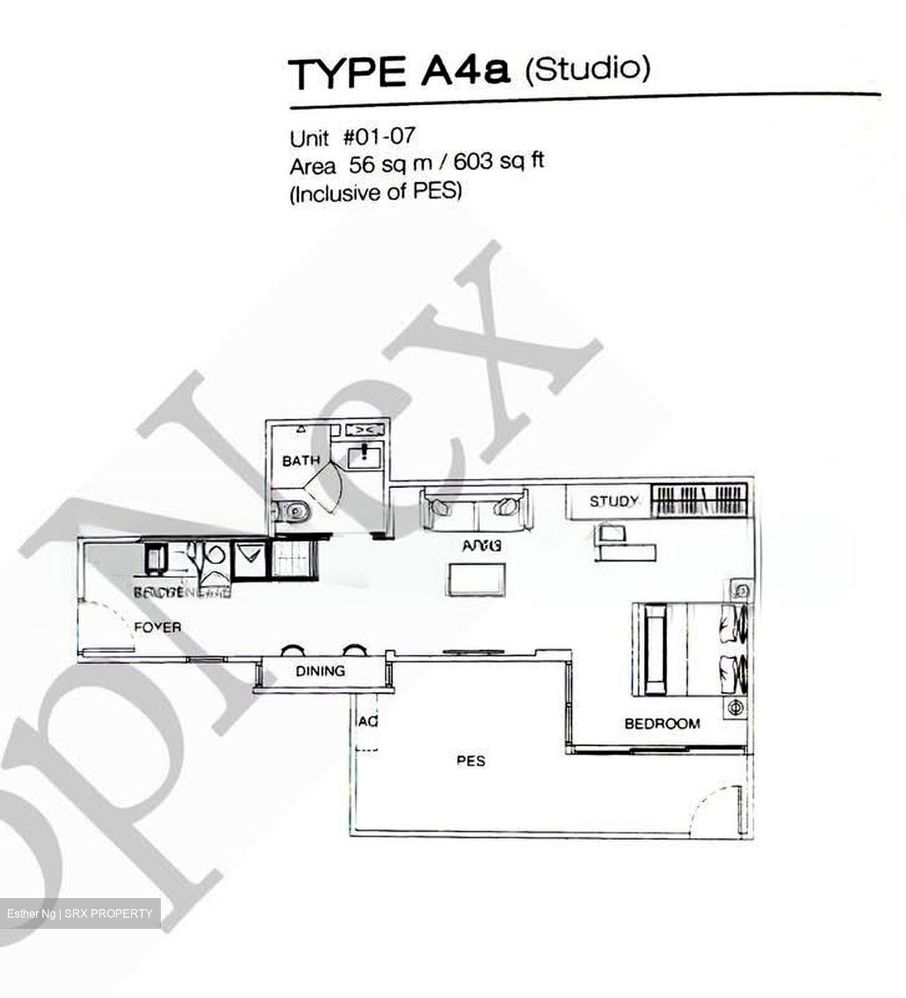 The Cristallo (D15), Apartment #561235301